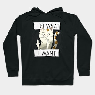 I Do What I Want Hoodie